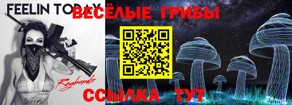 Верхняя Пышма  Галлюциногенные грибы прущие грибы  Галлюциногенные грибы мицелий  Вход с VPN 