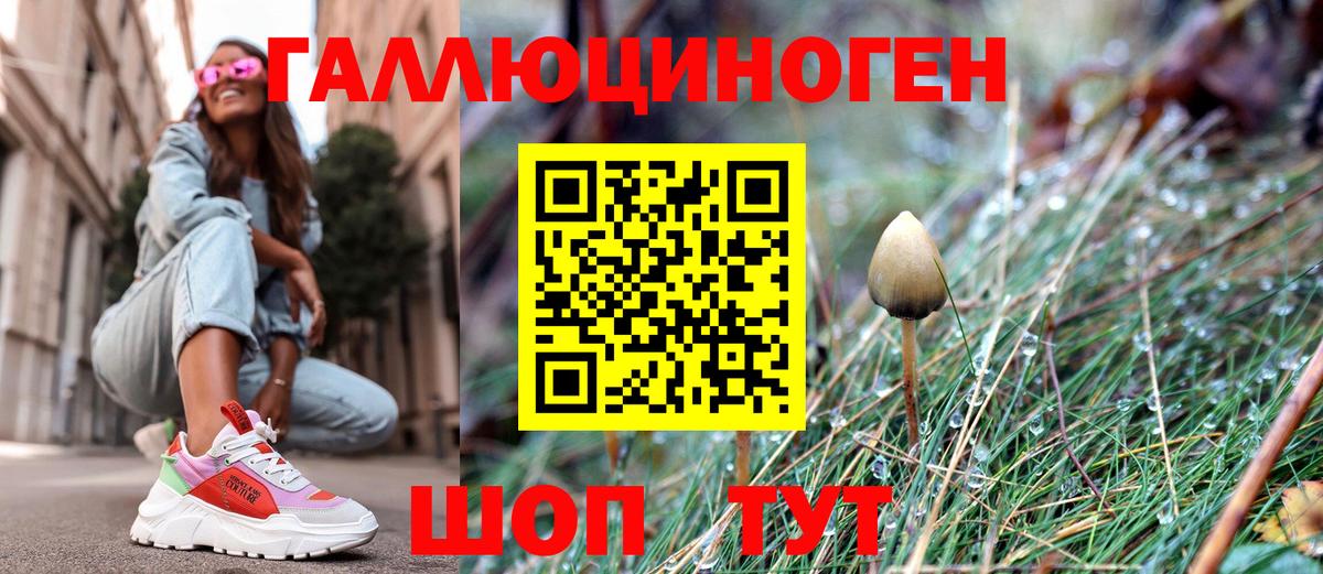 Псилоцибиновые грибы Psilocybine cubensis Верхняя Пышма